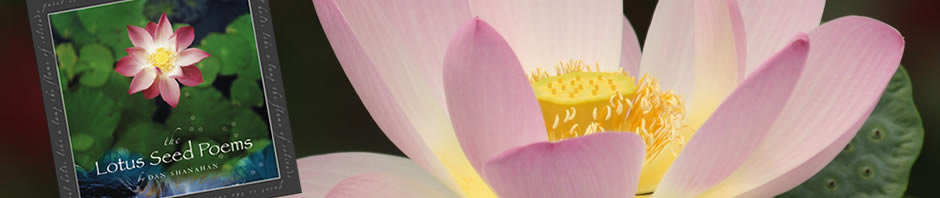 Lotus Seed Poetry Header Banner